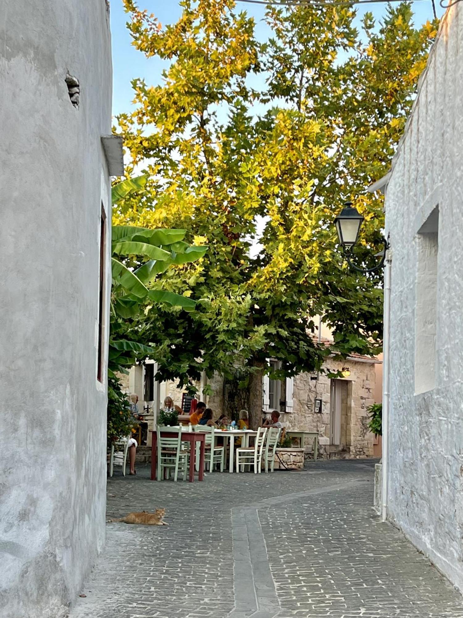 Villa Metapothia Gavalochori Crete Екстер'єр фото